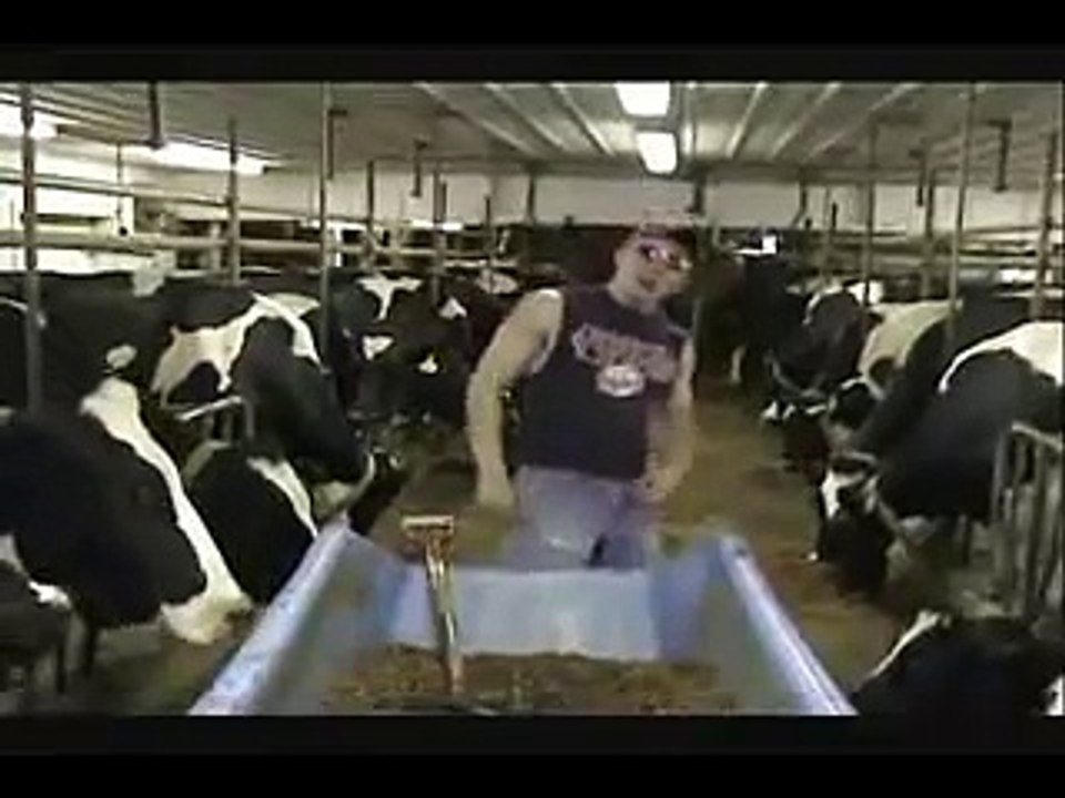 MILKING GLOVES - BLUE MILKING GLOVES - BLUE NITRILE MILKING GLOVES