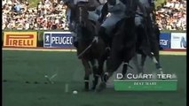 Crestview Genetics Adolfo Cambiaso Cloned Horse Dream Subtitle English