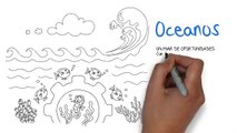 Conoce por qué son importantes los océanos para Perú y el mundo