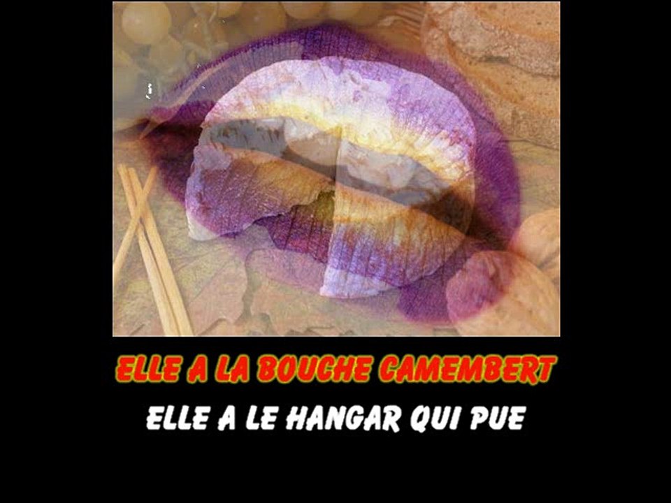 KARAOKE PARODIE MARC LAVOINE - La bouche camembert