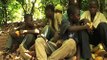 International Cocoa Initiative: Tackling Child Labour on Cocoa Growing (Introduction)