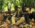 International Cocoa Initiative: Tackling Child Labour on Cocoa Growing (Introduction)