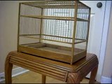 Custom Built Bird Cages - Towa Towa / Canaries / Finches / Small Birds