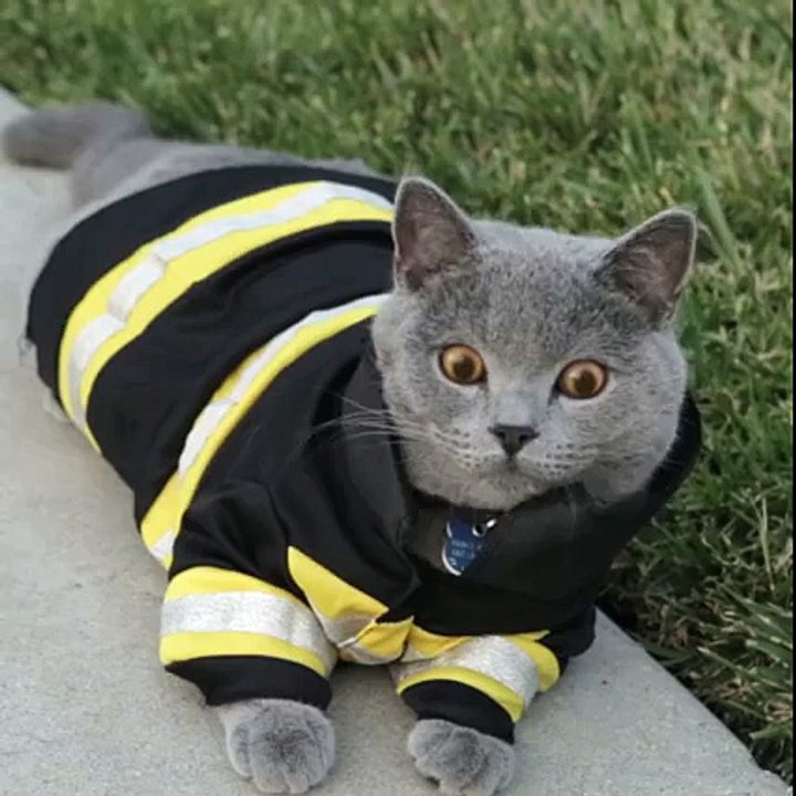 BASED GOD VERSUCHT MARINA ZU RETTEN