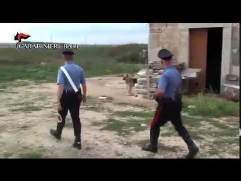 Altamura (BA) - Blitz antidroga in una masseria (13.06.15)