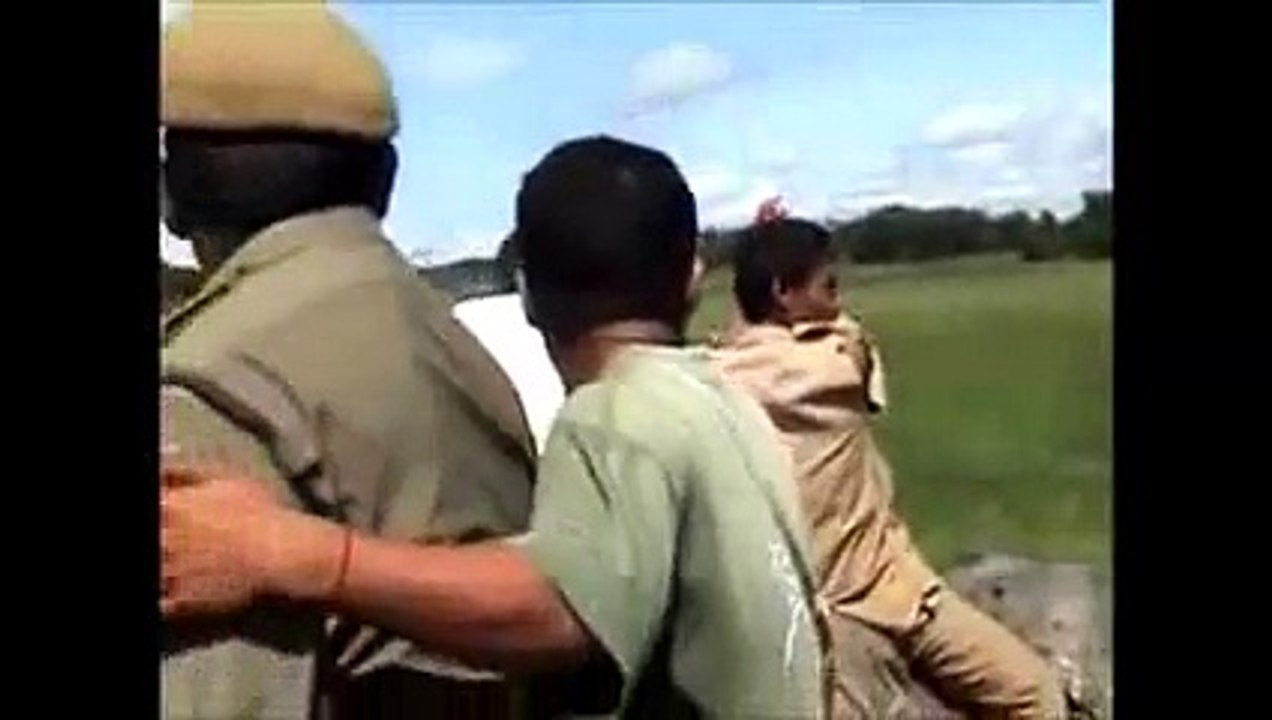When Animal Attacks Human Compilation 2015HD ll PART 1