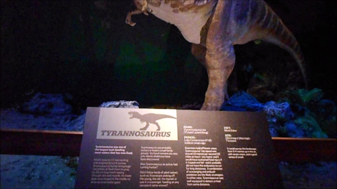 Dinosaur Day