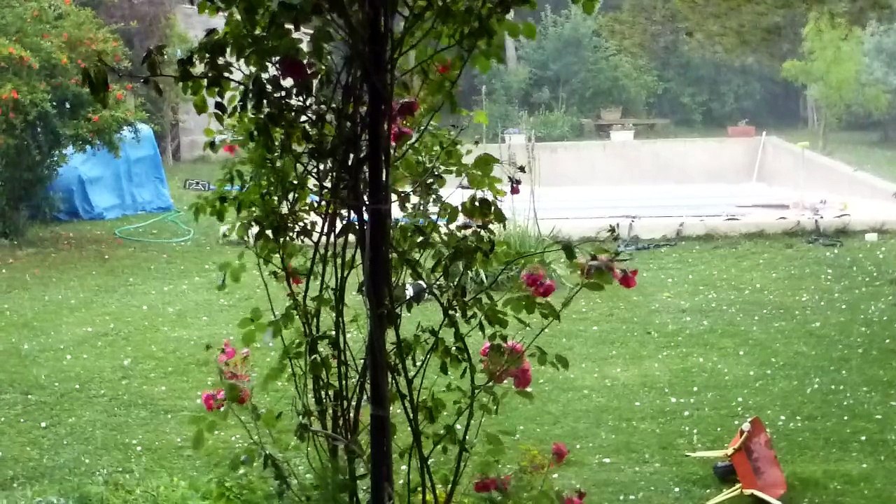 P1150817