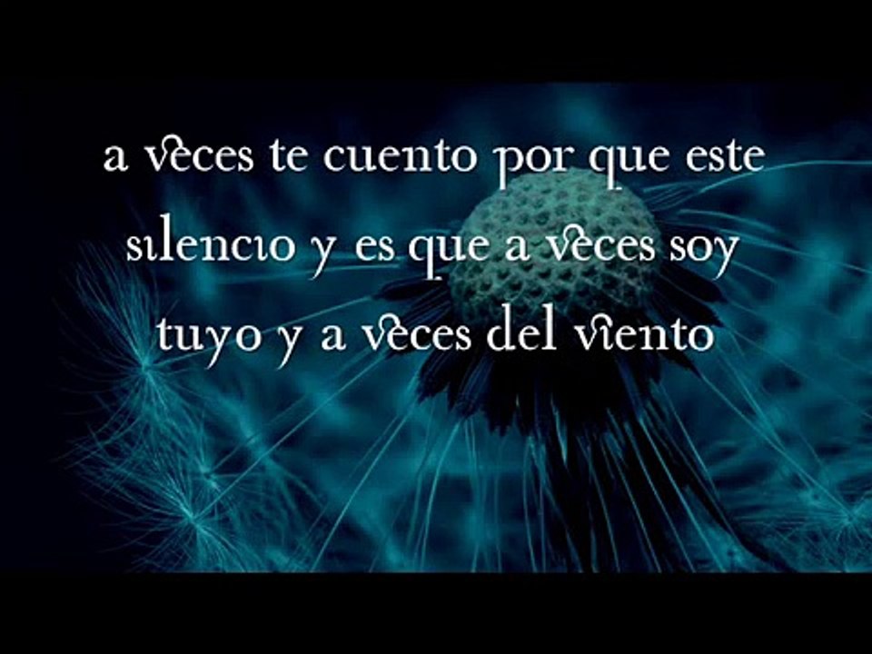 Alejandro Sanz - Cuando Nadie Me Ve (lyrics)