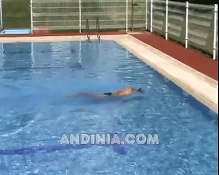 Natación: vuelta americana, viraje o volteo en crol - Swimming: tumble turn or flip turn technique