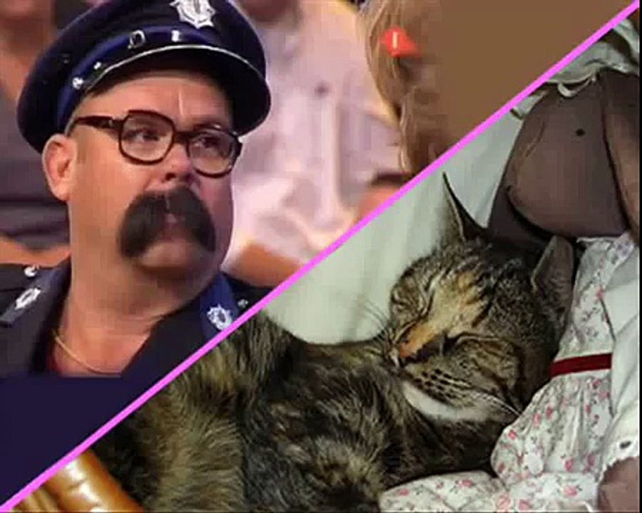 Paul de Leeuw "opsporing verzocht"  poes Eva weer thuis!