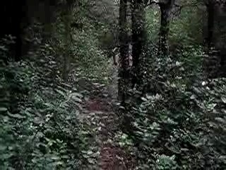 Version finale film ado