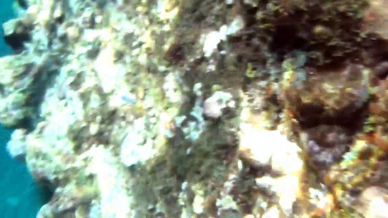 bienvenue dans mon monde 2