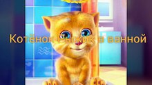 Прикол Смешной кот
