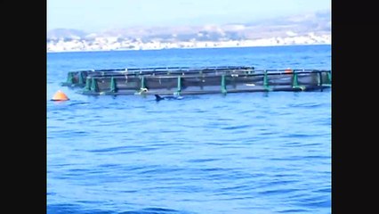 Gezien op vakantie in Kefalonia