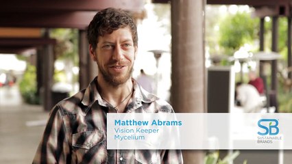 Mycelium School's Matthew Abrams on its holistic approach to education [SB '13 interview]