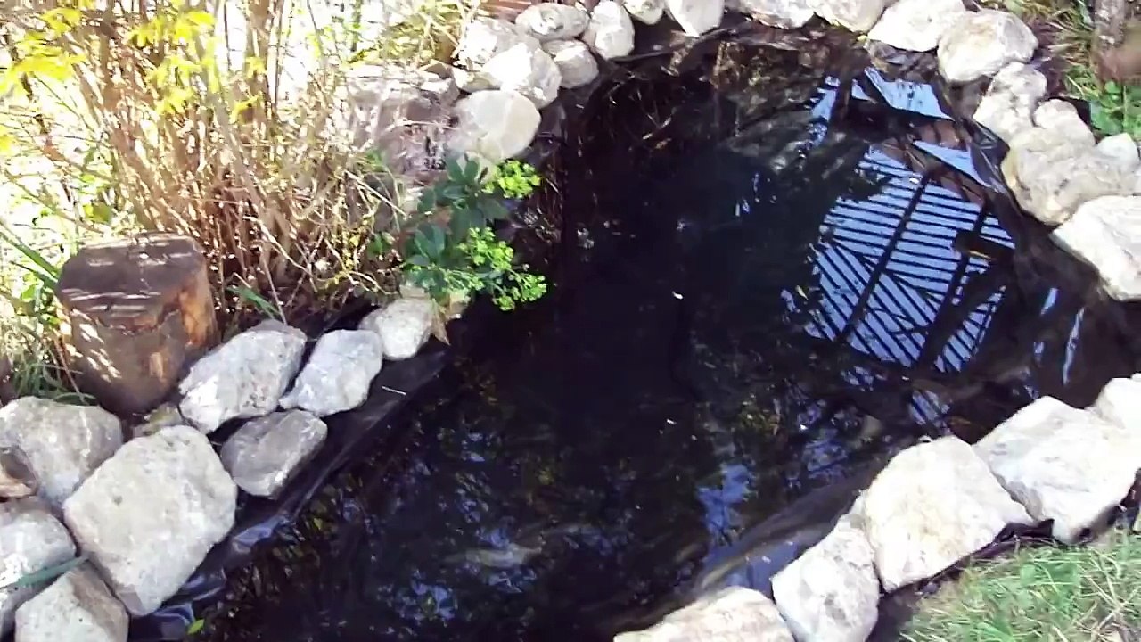 Garden Pond Finished