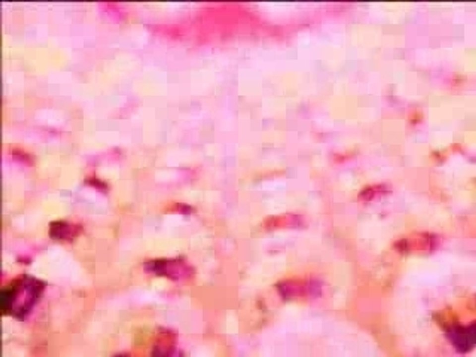 SADS - Strawberry PV