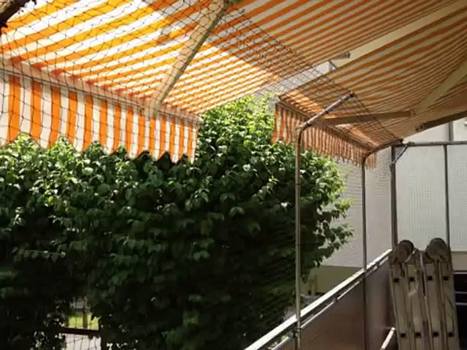 Katzennetz anbringen - www.katzennetze-nrw.de - Katzennetz balkon ohne bohren