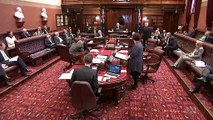 Same-Sex Marriage Laws Introduced to NSW Parliament