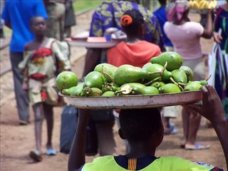 Cameroun train Ngaoundéré / Yaoundé