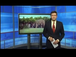 pit bull attacks 2 dogs on walk caught on camera