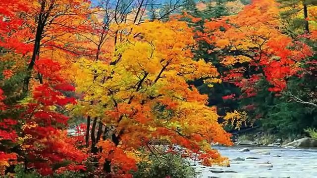 HARMONICA C' EST BEAU LA VIE Jean Ferrat