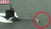 Des dauphins saluent un sous-marin nucléaire