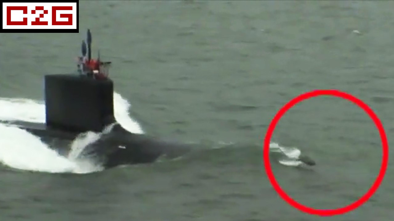 Des dauphins saluent un sous-marin nucléaire