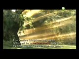 Zelda Twilight Princess 09- Gather Tears of Light