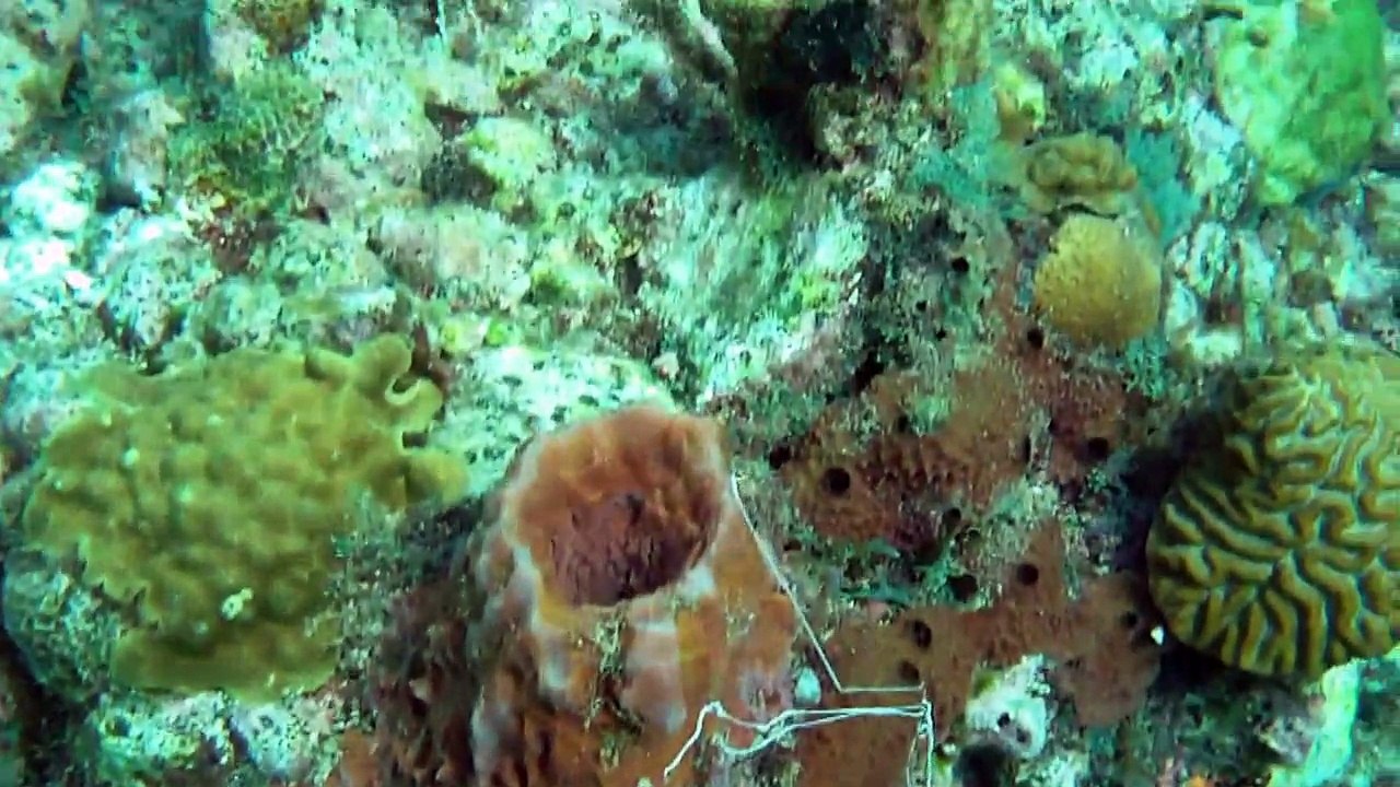 Bienvenue dans monde 4