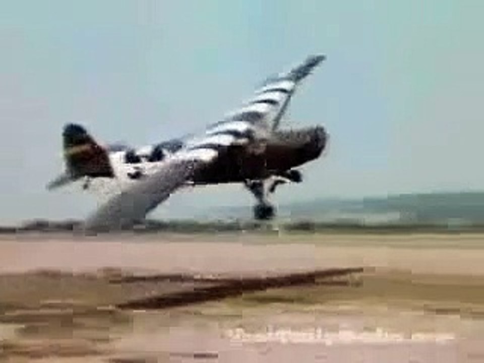 Man gets hit by plane