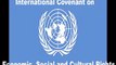 International Covenant on Economic, Social and Cultural Rights of 1966. UN Treaty