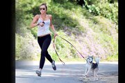 Sexiest Miley Cyrus Funny Dog Collection.