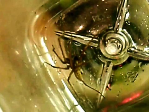 Never Defeat 130921, music “Nirvana”.