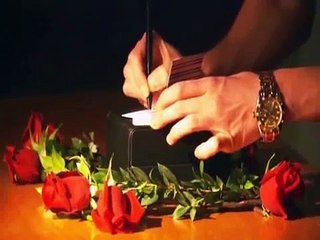 The L Word S4 'Opening' (South of Nowhere theme)