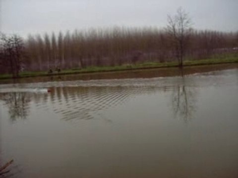 2ème essais de mon micobra evo