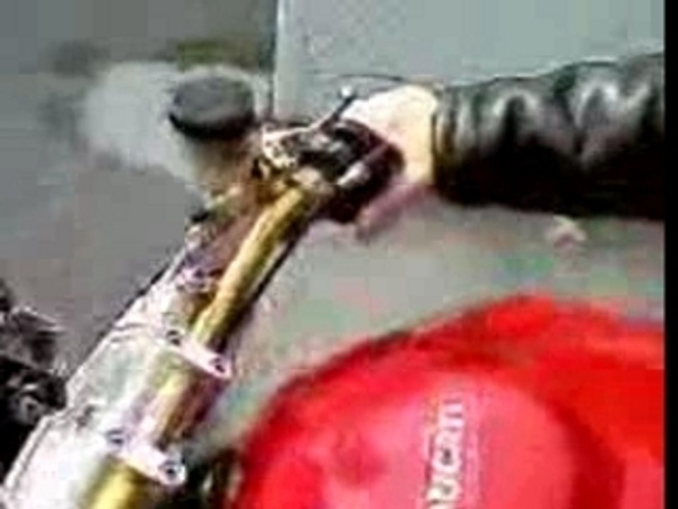 Ducatidux