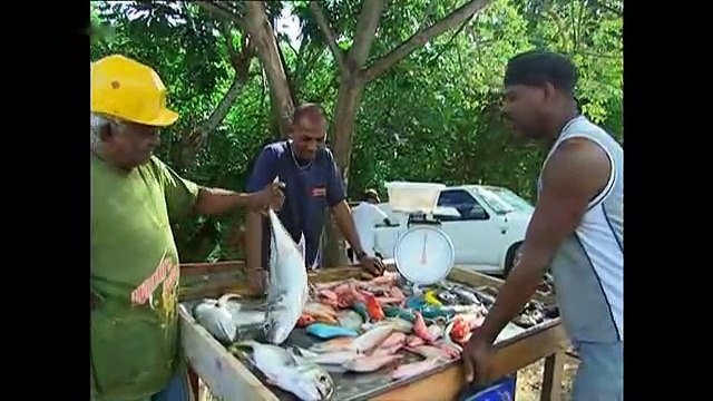Zu Tisch auf Guadeloupe - Teil 1/2