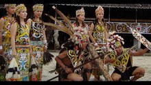 Sape' Instrument Dayak Borneo Yang Paling Menyentuh (Jerry Kamit - Sarawak)