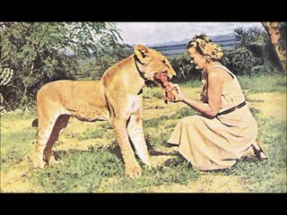 Born Free 1966 Video Tribute 2012 .axa.wmv