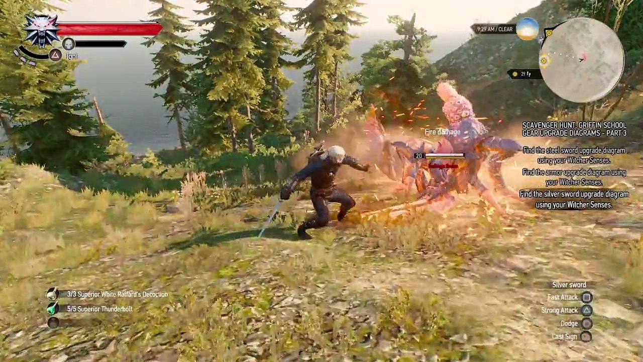 The Witcher 3 superior griffin gear