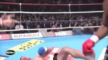 Alistair Overeem K-1 2010 knockout highlights