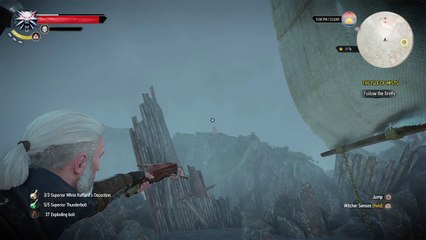 The Witcher 3 sniped a siren