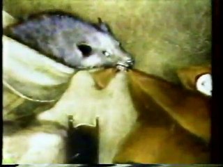 Time Life Books Commercials (1986)