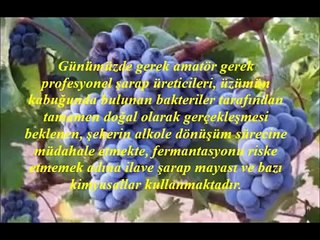 Evde doğal şarap yapımı ( Natural Wine making at home)