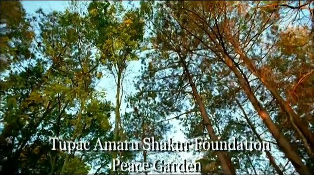 2Pac - Pac's Life ft. T.I., Ashanti