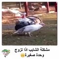 الشايب اذا تزوج وحدة صغيرة