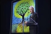 David Lynch expose les bienfaits de la méditation (VOST)