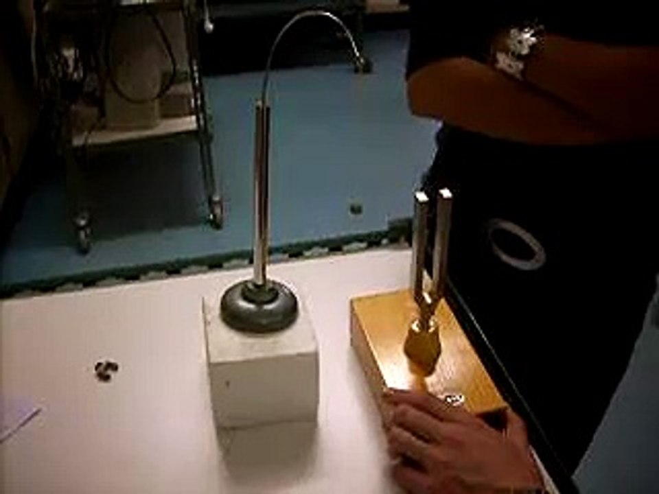 Photo 007